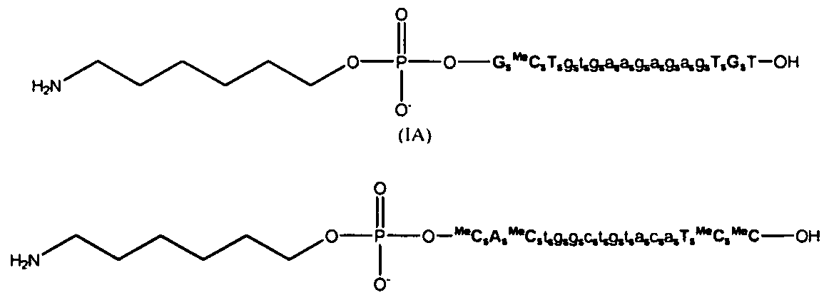 ib chemistry ia oxidizing magnesium Rusting and introduction to oxidation & reduction doc brown's chemistry ks4 science gcse/igcse chemistry revision notes 2 (oxidation) to form the magnesium ion, the iron(ii) ion gains 2 electrons (reduced) to form iron atoms. ib chemistry ia oxidizing magnesium Rusting and introduction to oxidation & reduction doc brown's chemistry ks4 science gcse/igcse chemistry revision notes 2 (oxidation) to form the magnesium ion, the iron(ii) ion gains 2 electrons (reduced) to form iron atoms.