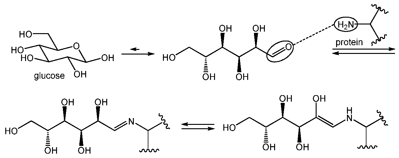 urine formation involves urine formation involves