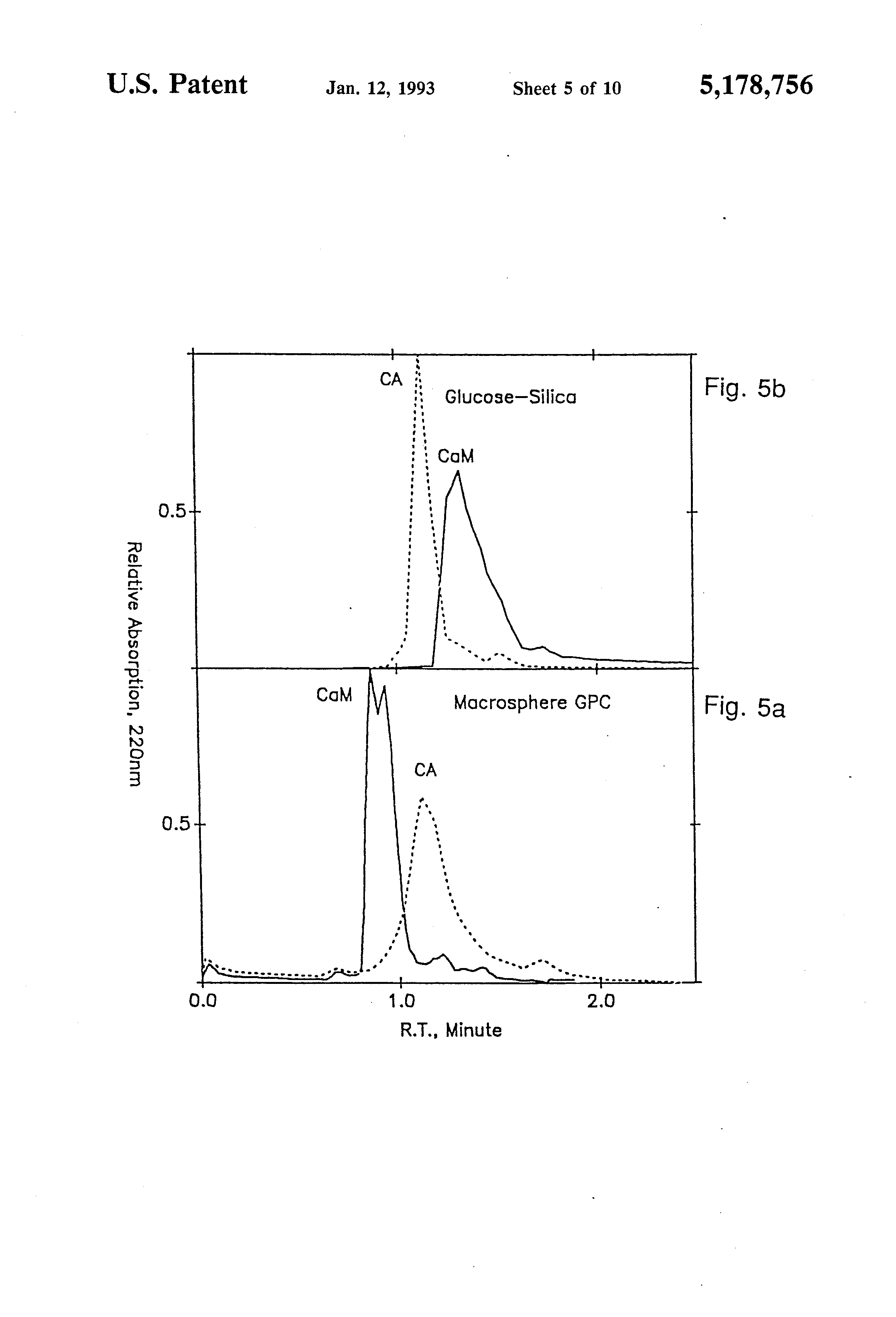 gel filtration chromatography