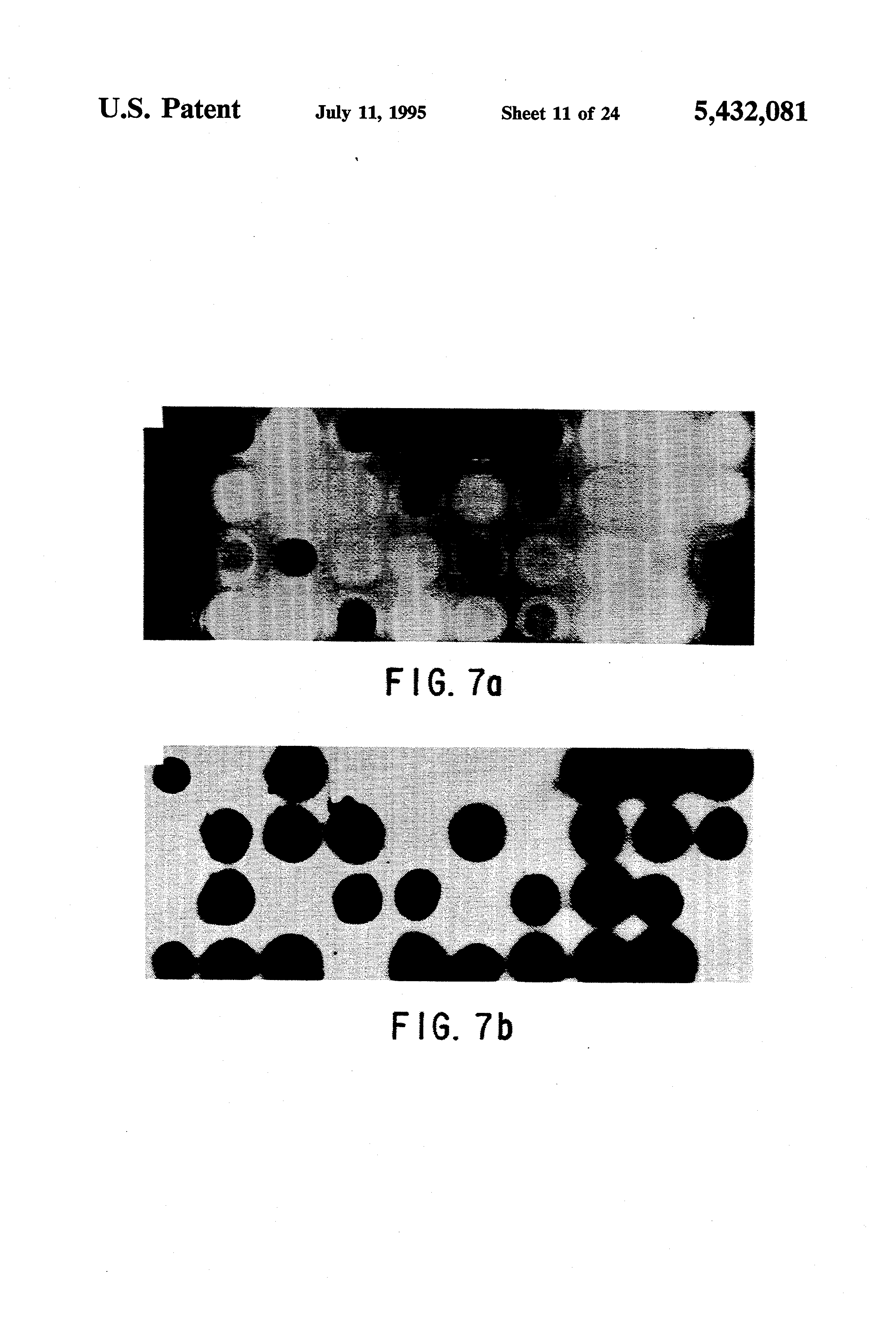 thesis on actinomycetes Selective isolation of aerobic actinomycetes actinomycetes ms thesis, rutgers, the state university, new. thesis on actinomycetes Selective isolation of aerobic actinomycetes actinomycetes ms thesis, rutgers, the state university, new.