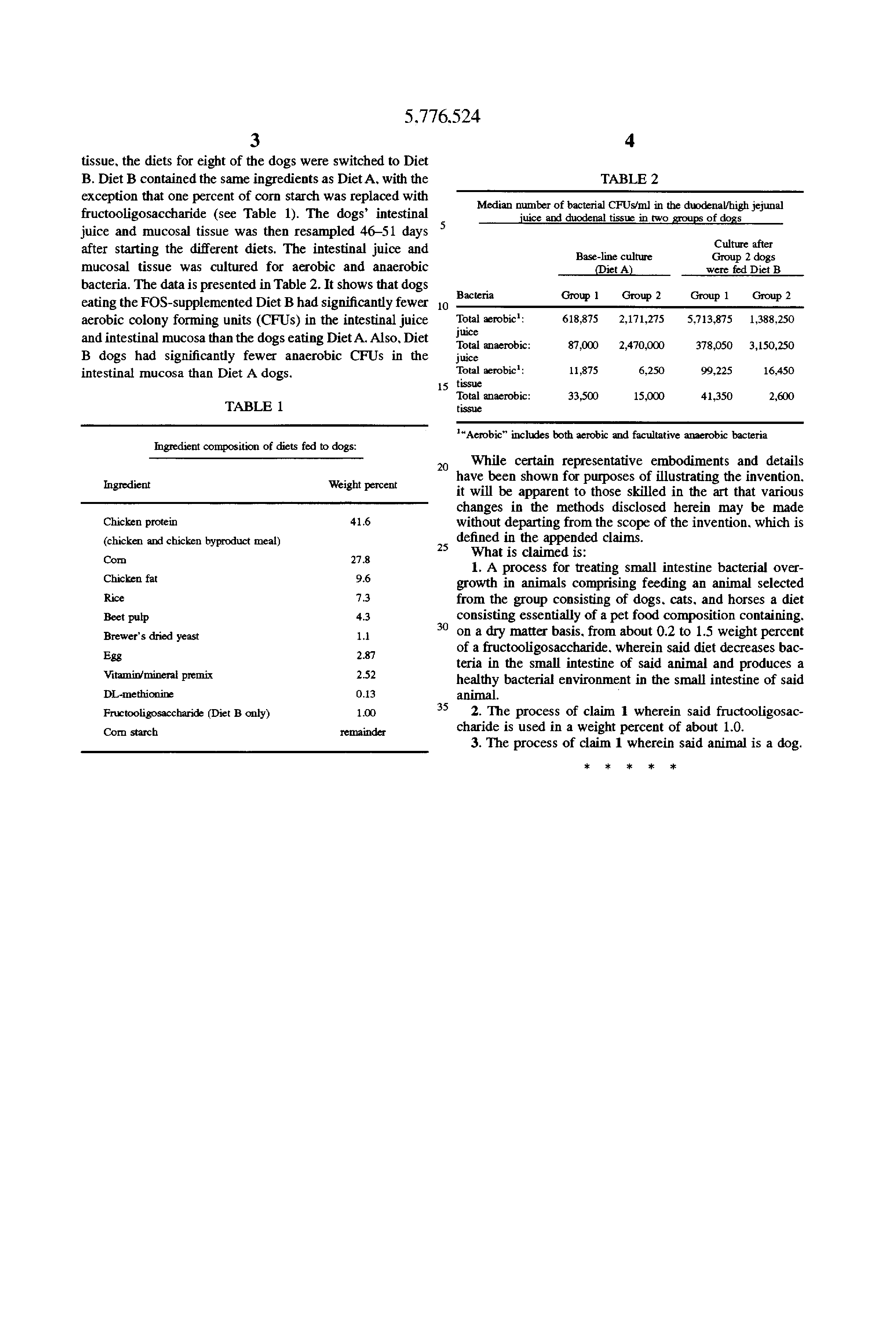Bacterial Overgrowth In Dogs Small Intestine Bacterial Overgrowth In Dogs Small Intestine