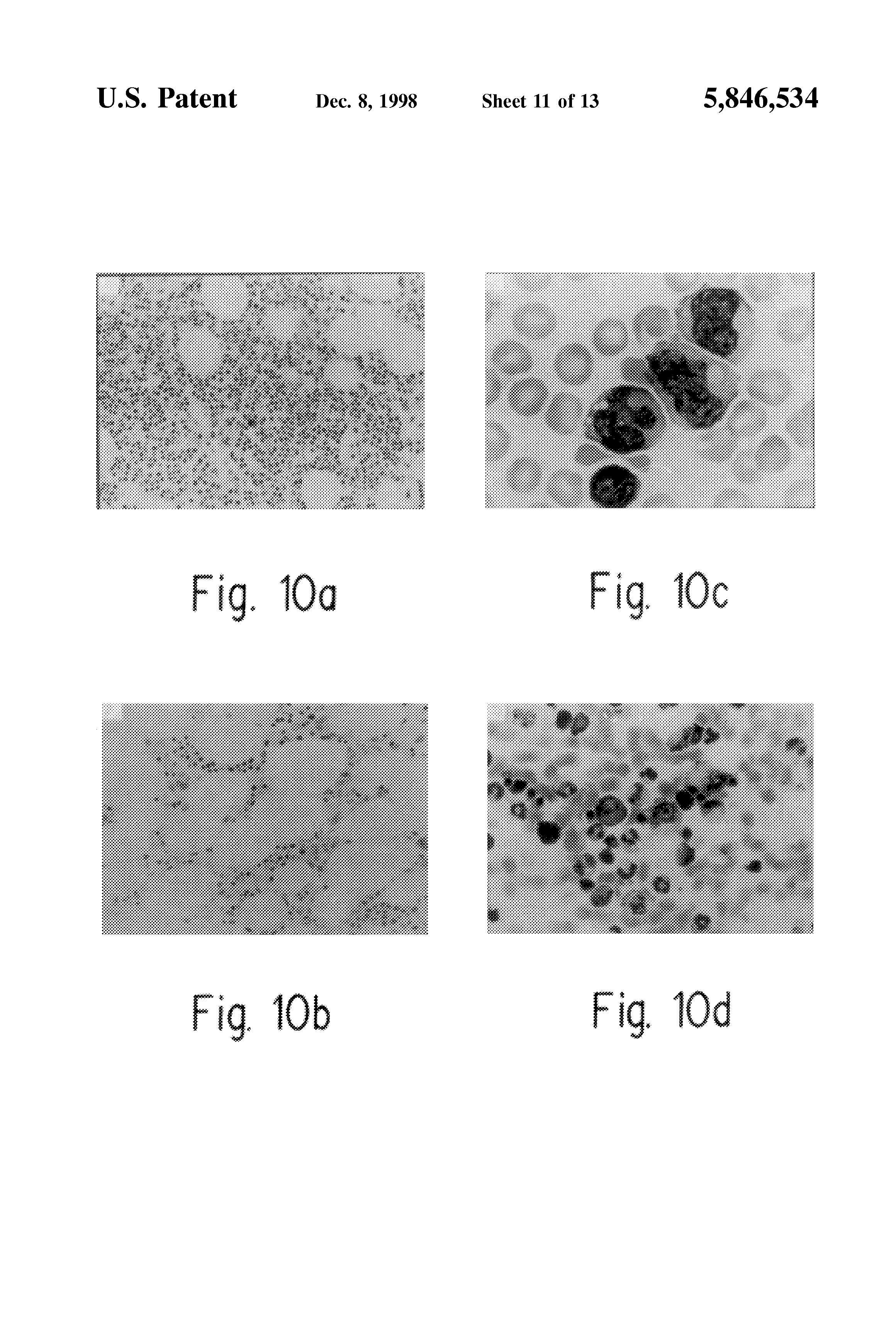 order on line antibotics of azithromycin order on line antibotics of azithromycin