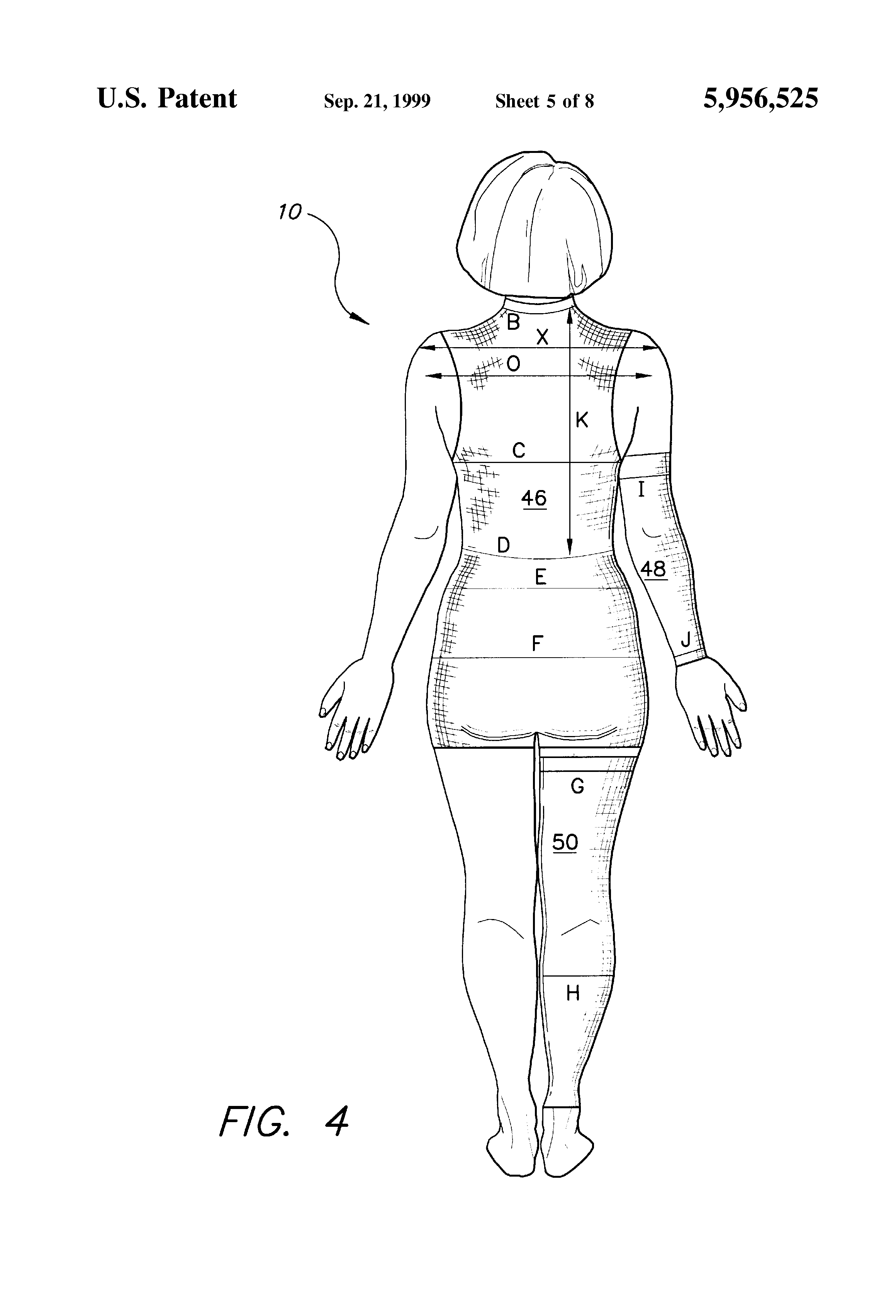 body measurements sheet