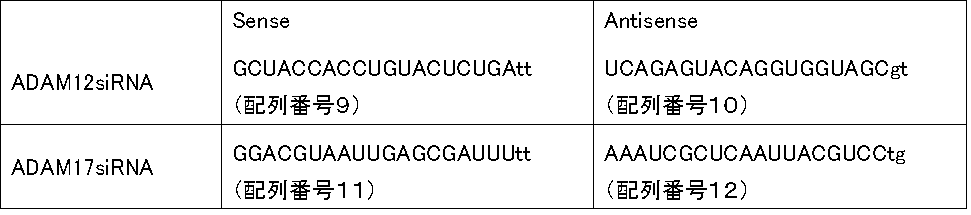 Figure JPOXMLDOC01-appb-T000002