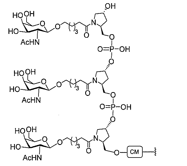 Figure 2022017514000369