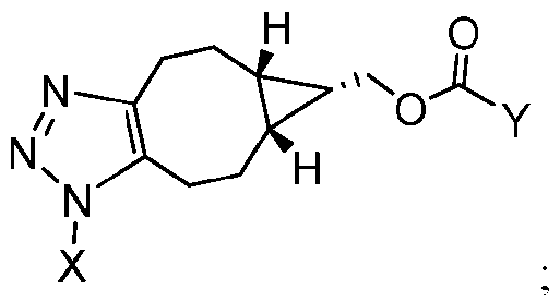 Figure imgf000053_0004