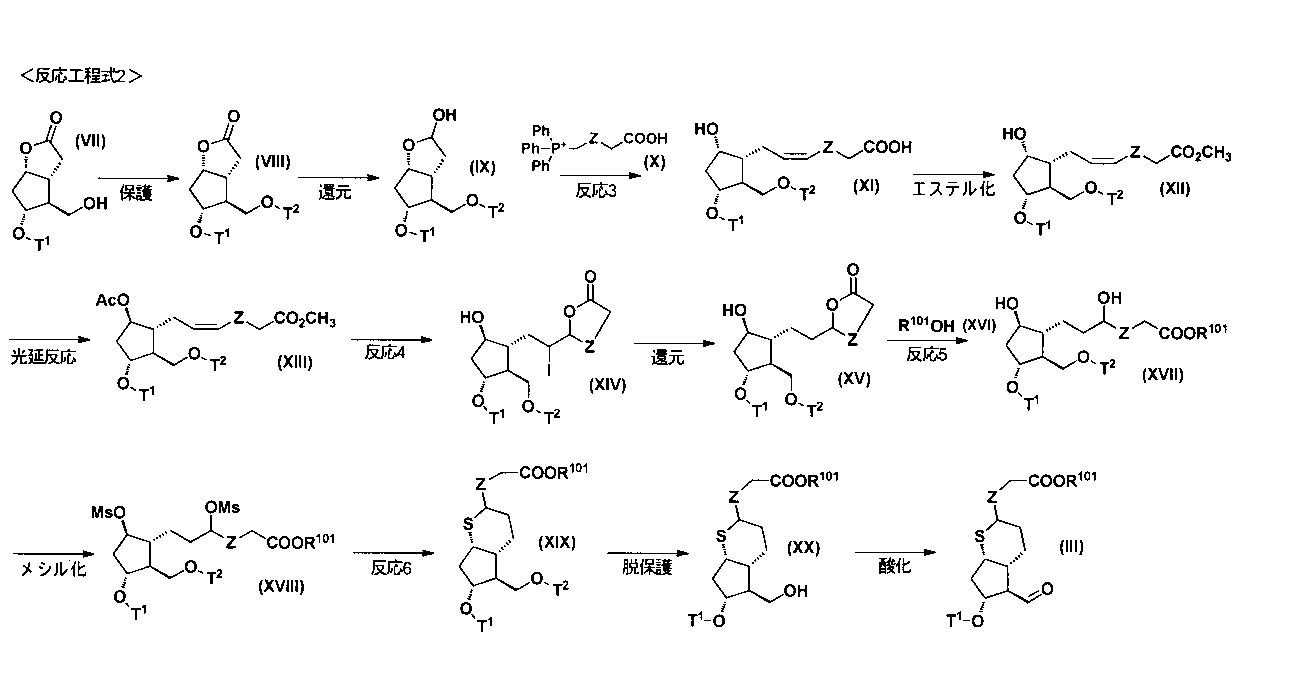 Figure JPOXMLDOC01-appb-C000032