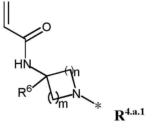 Figure imgb0013