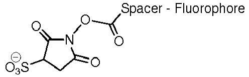 Figure imgb0024