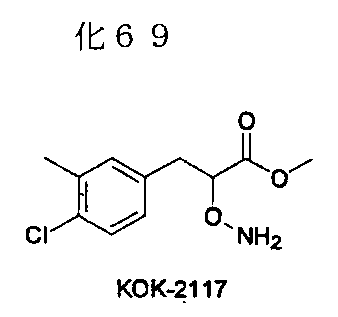 Figure JPOXMLDOC01-appb-C000083