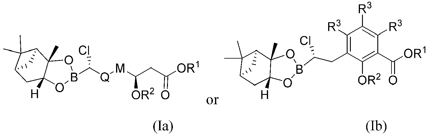 Figure imgb0004