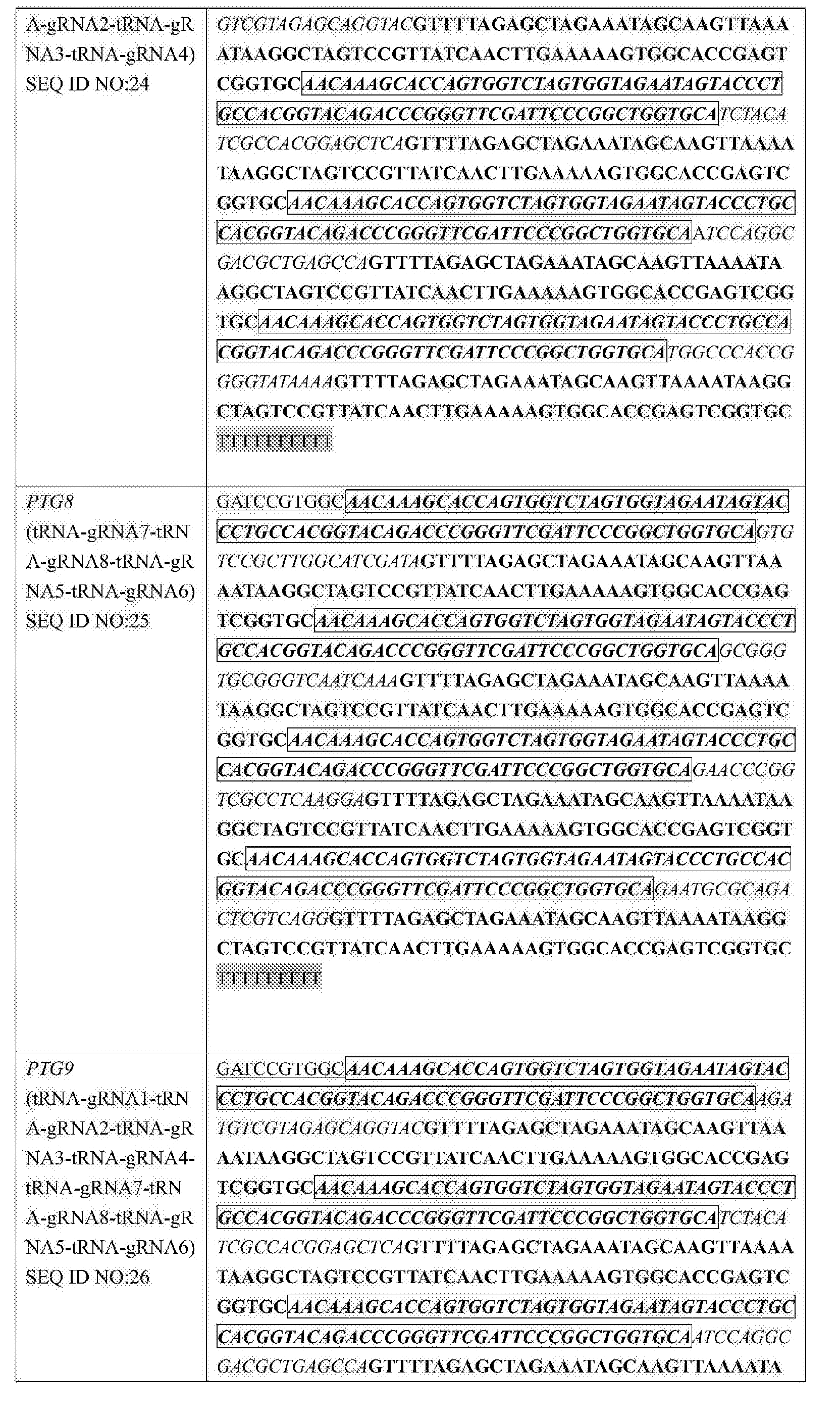 ADVANCE PAM 0079V DRIVER (2019) ADVANCE PAM 0079V DRIVER FOR WINDOWS