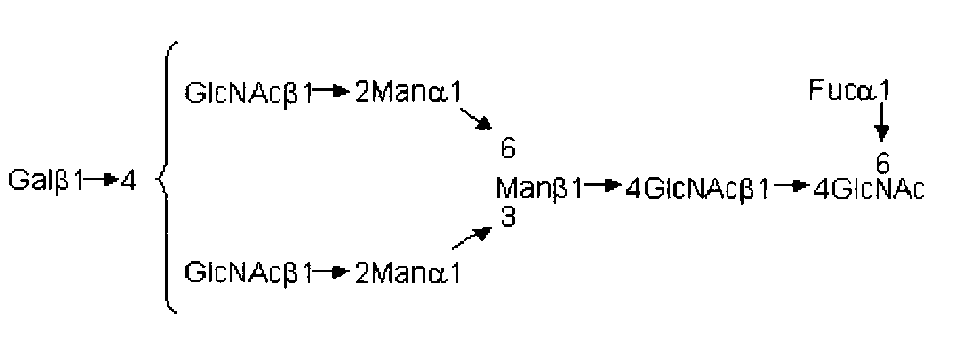 Figure JPOXMLDOC01-appb-C000004