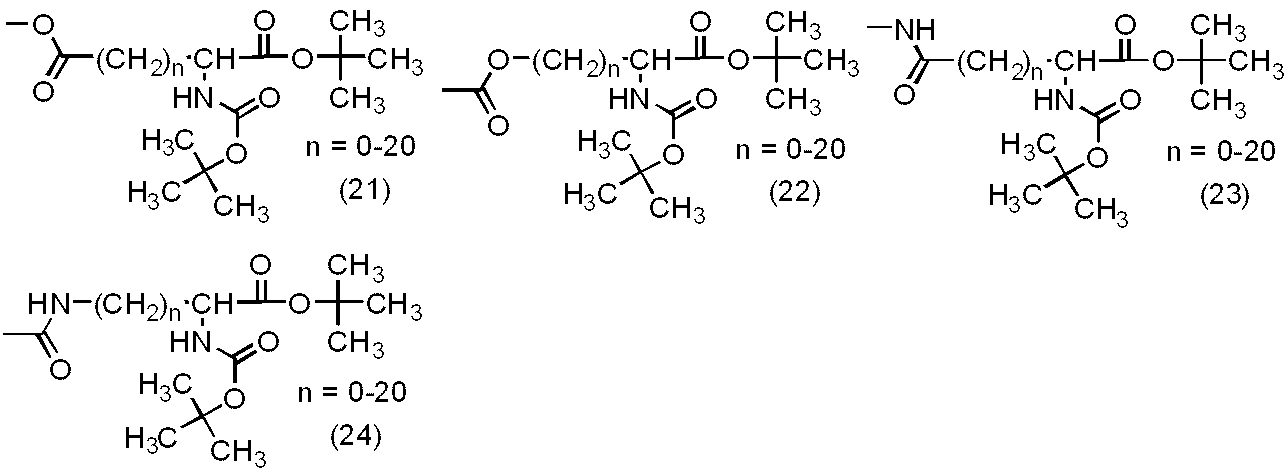Figure JPOXMLDOC01-appb-C000024
