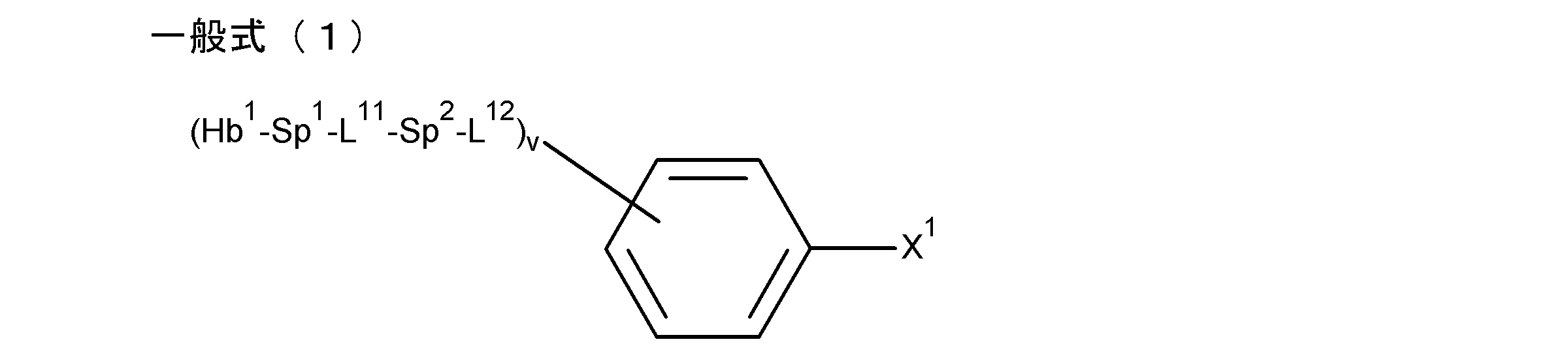Figure JPOXMLDOC01-appb-C000016