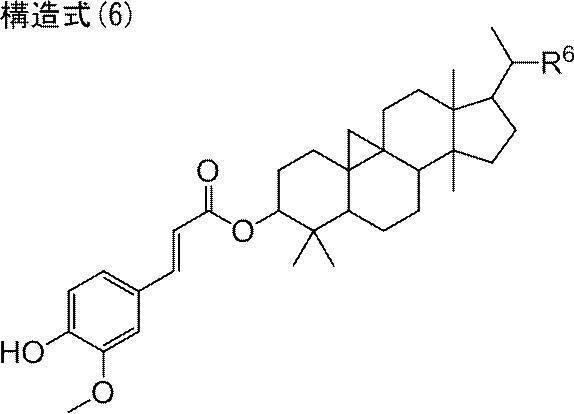 Figure JPOXMLDOC01-appb-C000015