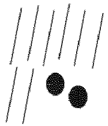 Figure imgb0033