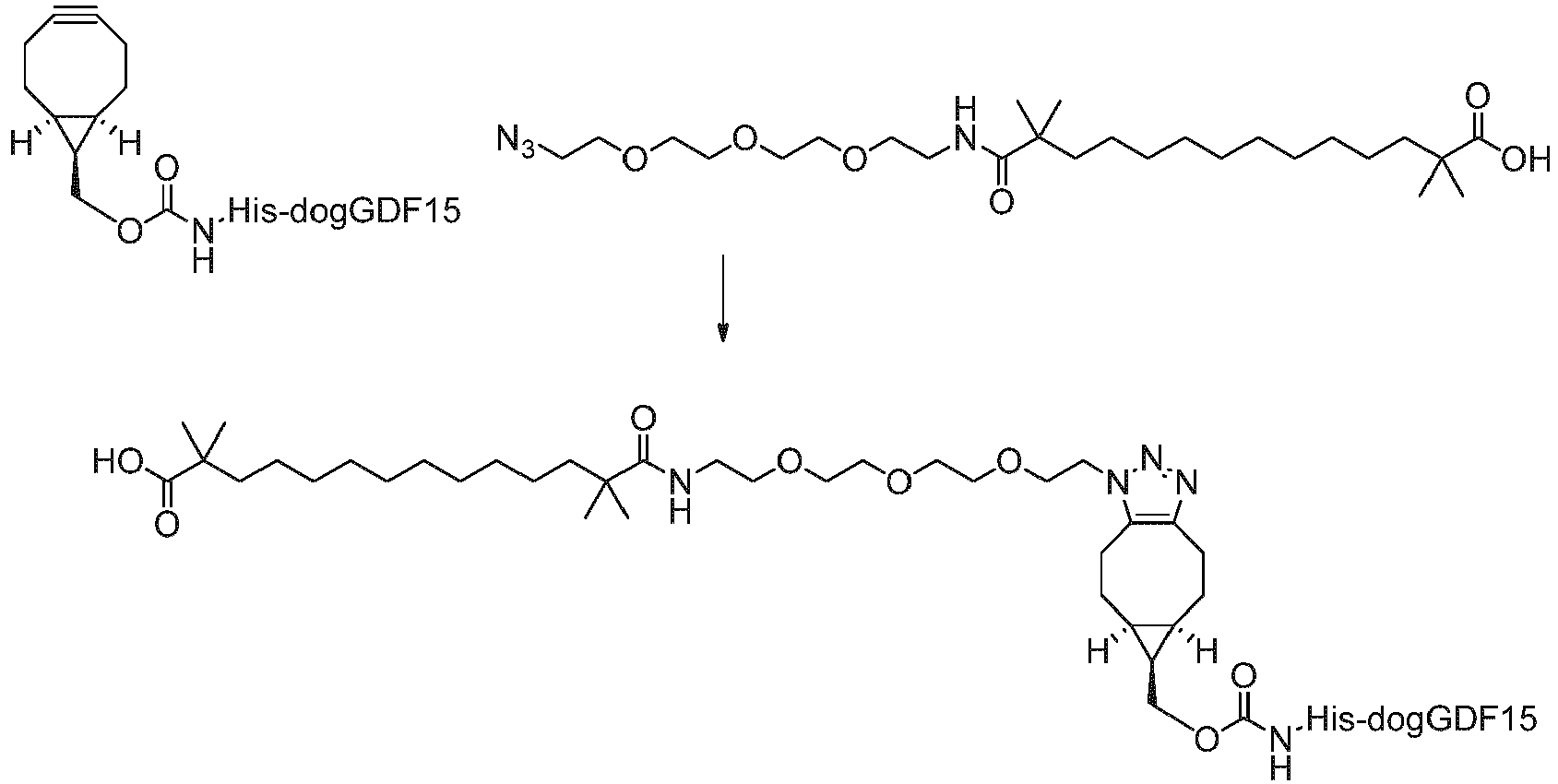 Figure imgb0136