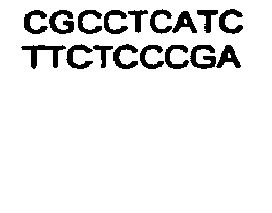 Figure imgb0315