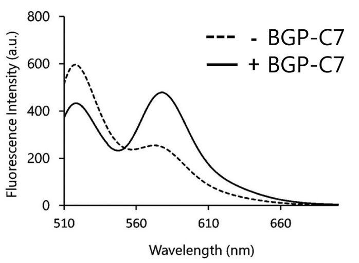 Woa1 Homogeneous Immunoassay Method Using Peptide Having Multiple Fluorochromes Joined Thereto Google Patents Woa1 Homogeneous Immunoassay Method Using Peptide Having Multiple Fluorochromes Joined Thereto Google Patents