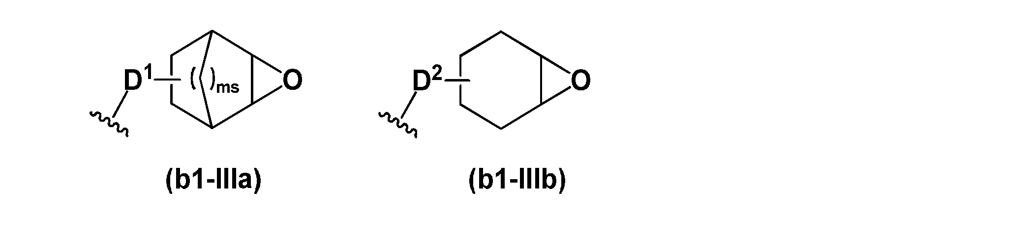 Figure JPOXMLDOC01-appb-C000051