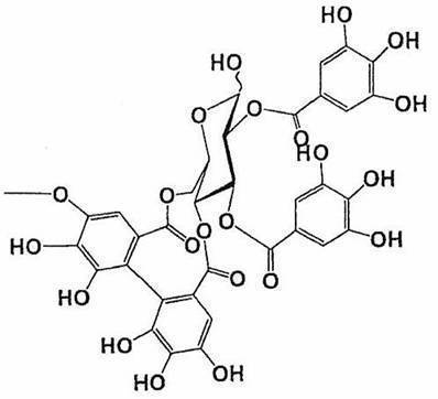 Figure JPOXMLDOC01-appb-C000029