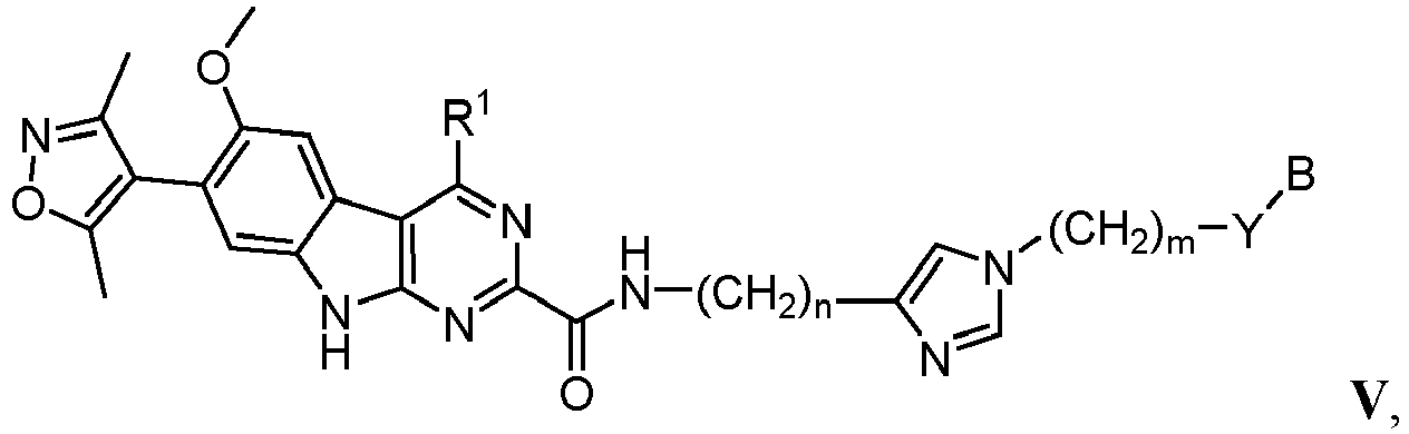 Figure imgb0010