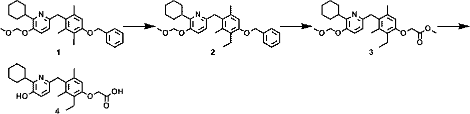 Figure JPOXMLDOC01-appb-C000077