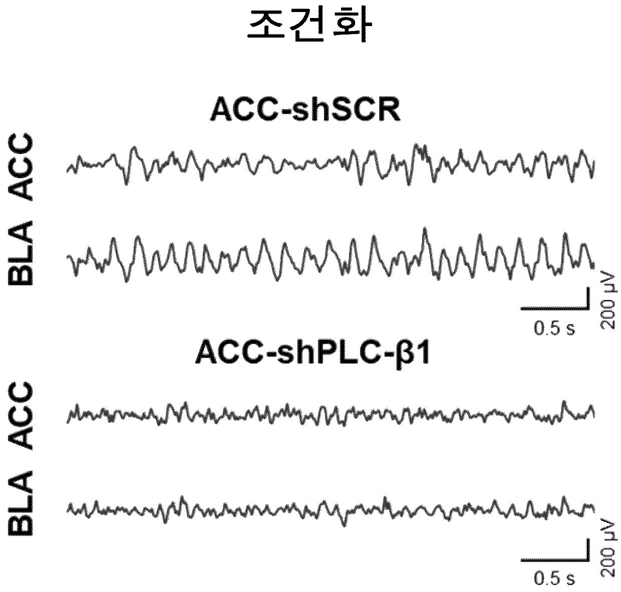 특허 도면 38
