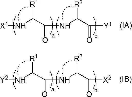 Figure JPOXMLDOC01-appb-C000024