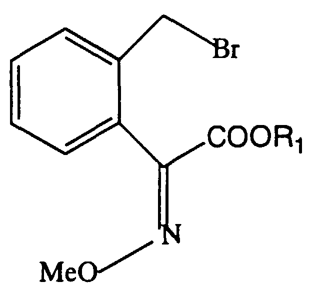 EP0908446A1 - Method for producing benzyl bromide derivatives - Google ...