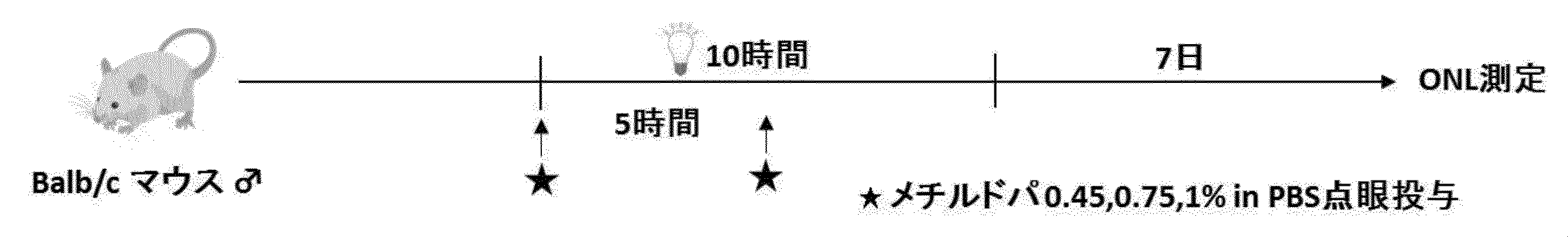 Woa1 Pharmaceutical Composition For Intraocular Or Oral Administration For Treatment Of Retinal Diseases Google Patents