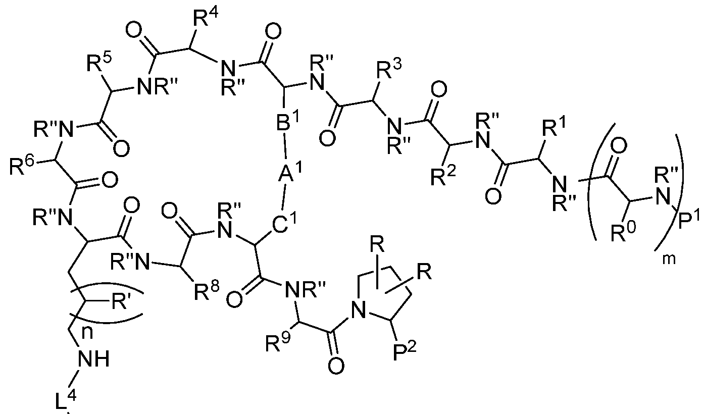 Figure imgf000037_0001