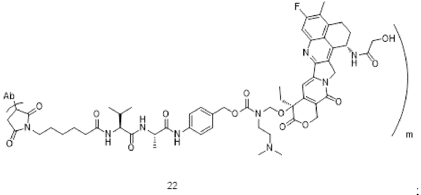 Figure imgb0119