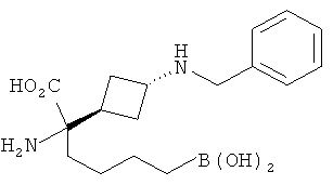 Figure 00000228