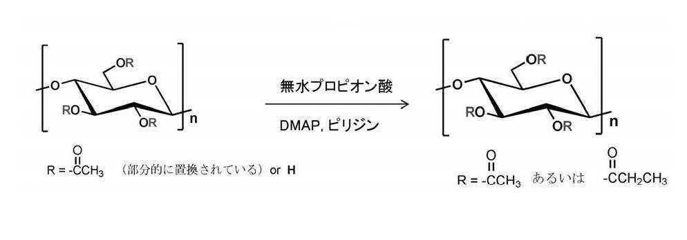Figure JPOXMLDOC01-appb-C000013