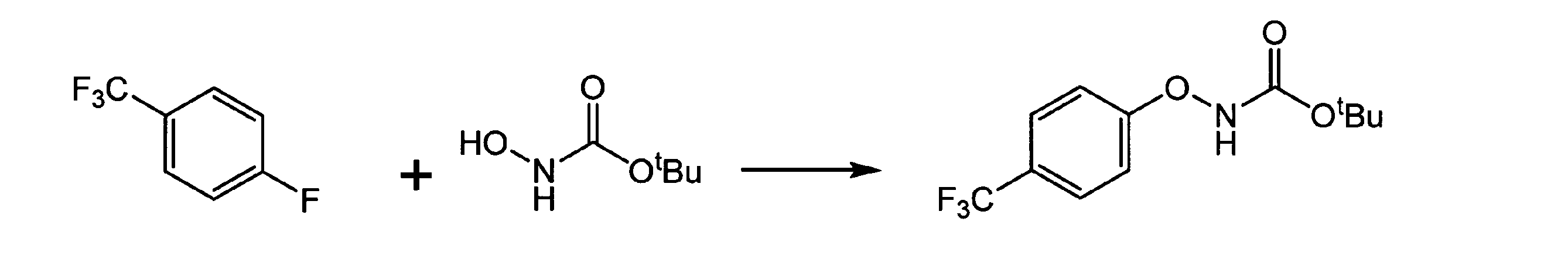 Figure JPOXMLDOC01-appb-C000025