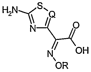 Figure imgf000003_0002