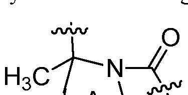 Figure imgf000011_0001