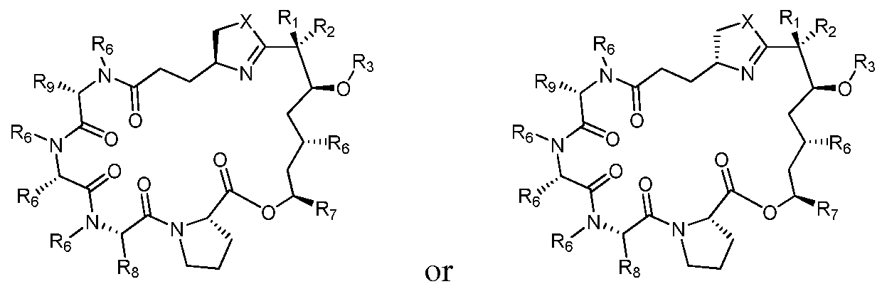 Figure imgf000024_0001