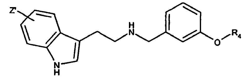 Figure imgb0061
