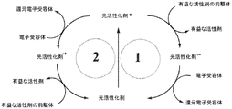 り様 リクエスト 4点 まとめ商品 JP2017511392A - Consumer product composition - Google Patents
