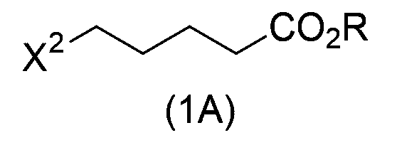Figure JPOXMLDOC01-appb-C000004