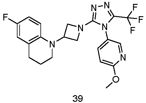 Figure imgb0171