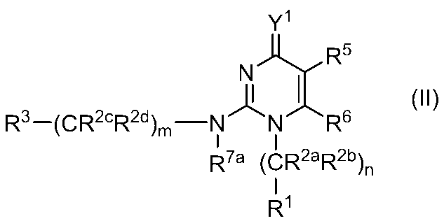 Figure JPOXMLDOC01-appb-C000007