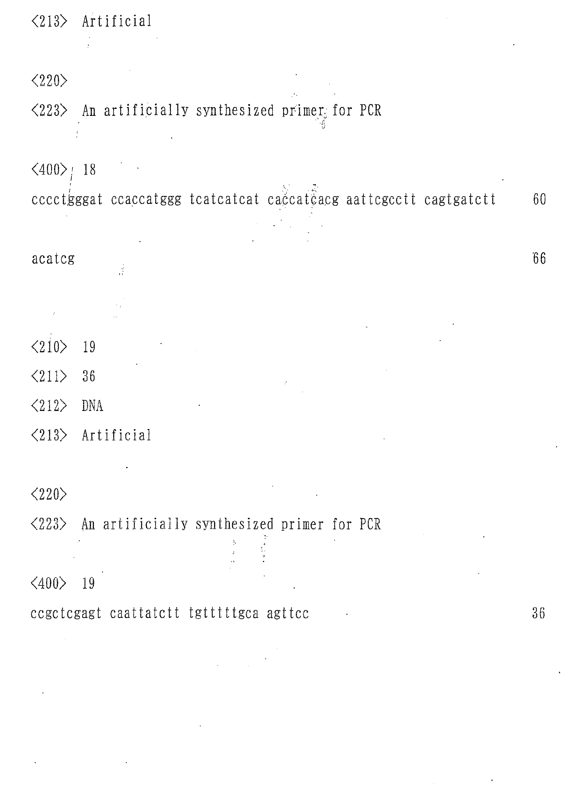 Figure imgb0019