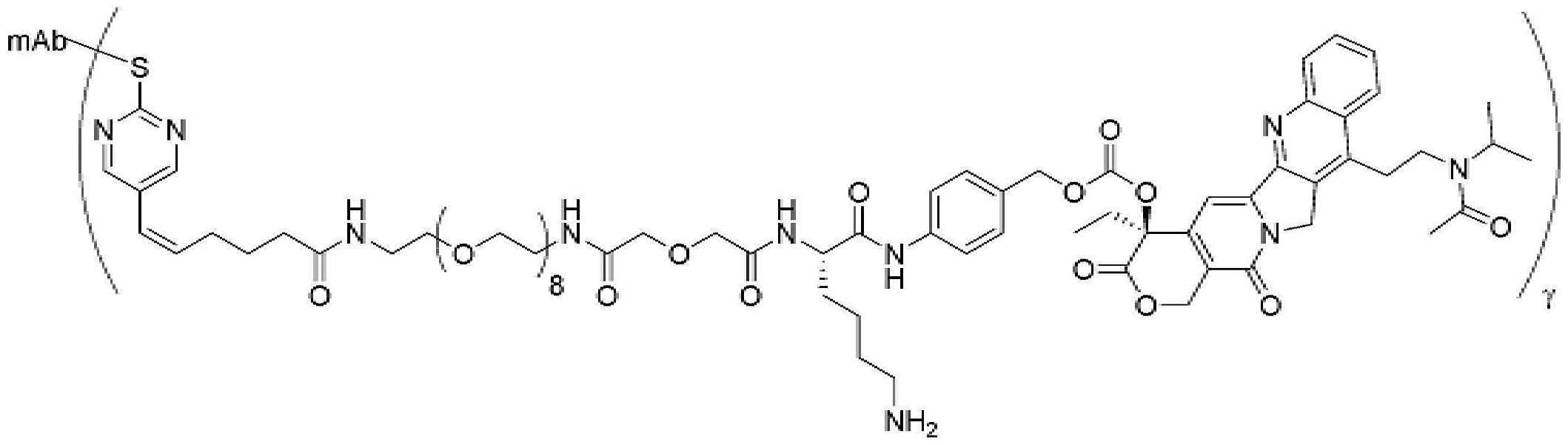 Figure pct00479