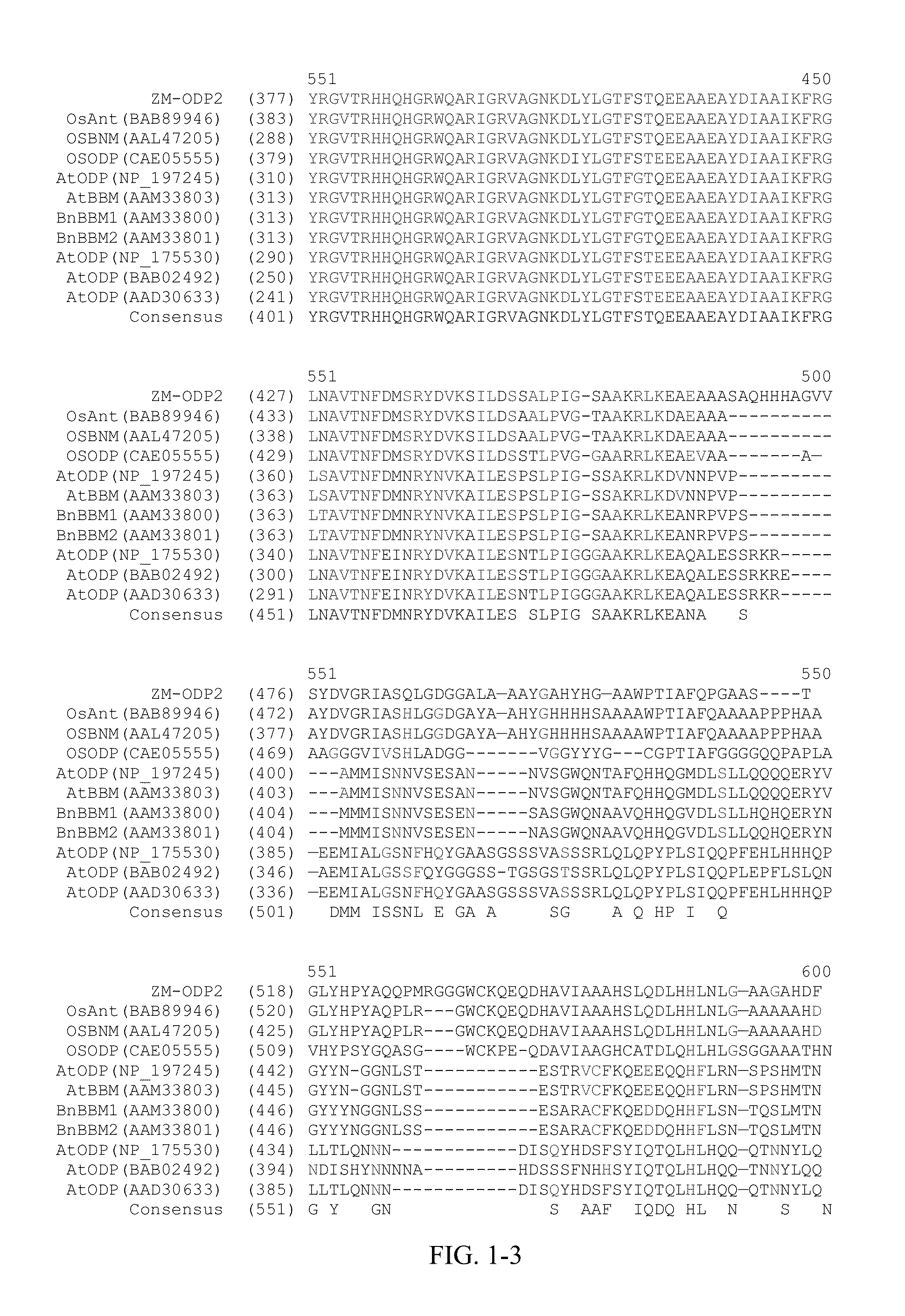 US8420893B2 - AP2 Domain Transcription Factor ODP2 (ovule Development Protein 2) And Methods Of Use - Google Patents US8420893B2 - AP2 Domain Transcription Factor ODP2 (ovule Development Protein 2) And Methods Of Use - Google Patents