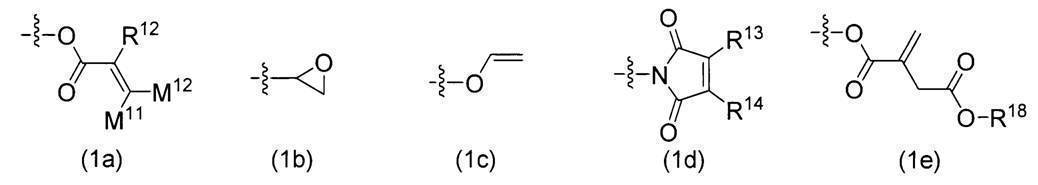 Figure JPOXMLDOC01-appb-C000002