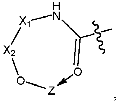 Figure imgb0028